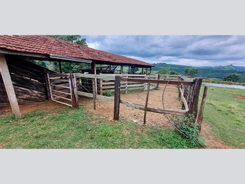Foto 12 de 16: Terreno em leilão em Marquinho - PR — Terreno - Marquinho - PR