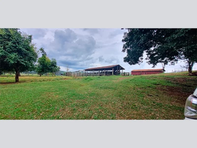 Foto 8 de 16: Terreno em leilão em Marquinho - PR — Terreno - Marquinho - PR