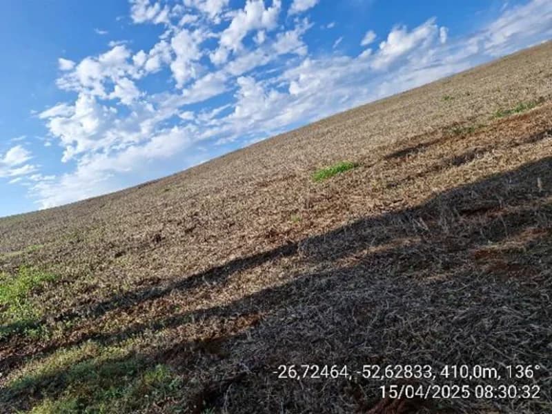Foto 2 de 6: Terreno em leilão em Quilombo - SC, bairro Linha Nova Brasília — Terreno - Quilombo - SC
