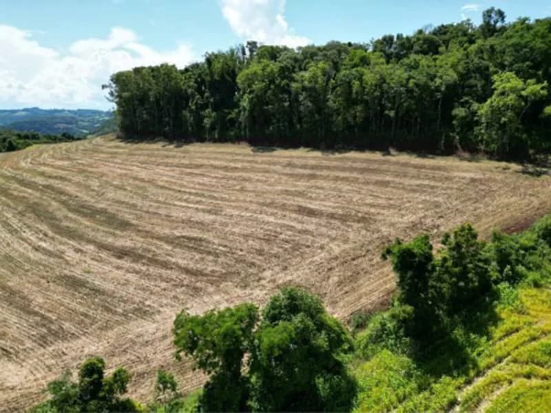 Foto 3 de 5: Terreno em leilão em Jardinópolis - SC — Terreno - Jardinópolis - SC