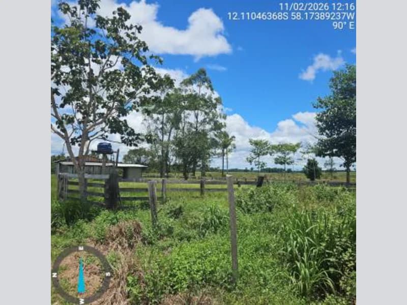 Foto 3 de 13: Terreno em leilão em Brasnorte - MT — Terrenos - Brasnorte - MT
