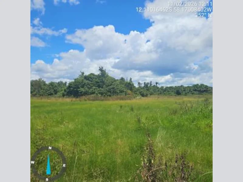 Foto 6 de 13: Terreno em leilão em Brasnorte - MT — Terrenos - Brasnorte - MT