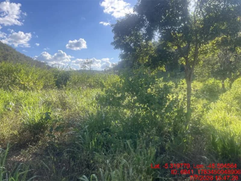 Foto 12 de 30: Area Rural em leilão em Jenipapo Dos Vieiras - MA, bairro Barrinha — Terreno - Jenipapo Dos Vieiras - MA