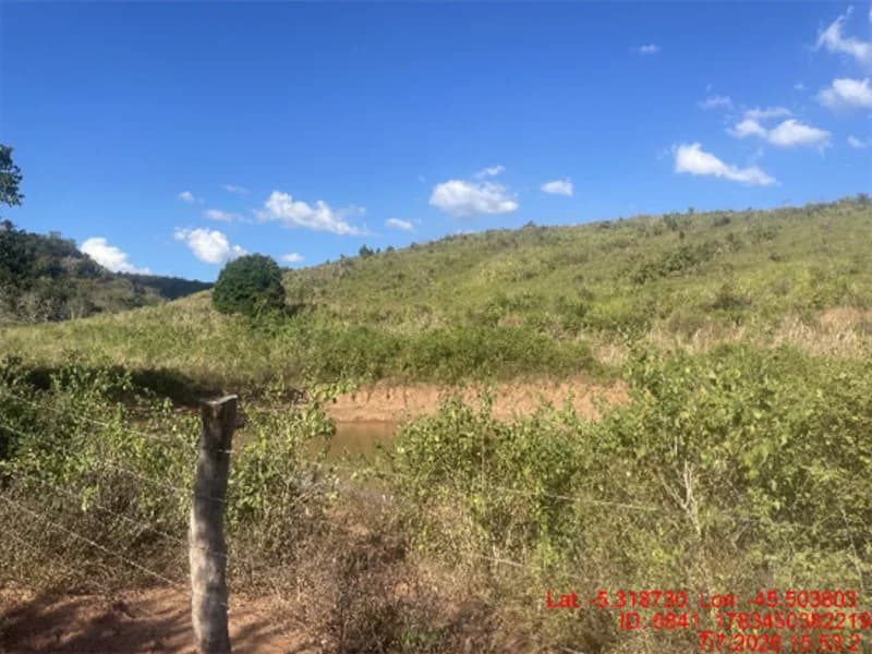 Foto 7 de 30: Area Rural em leilão em Jenipapo Dos Vieiras - MA, bairro Barrinha — Terreno - Jenipapo Dos Vieiras - MA