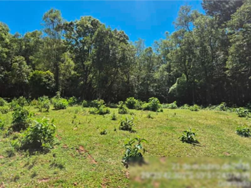 Foto 10 de 11: Terreno em leilão em Gramado - RS, bairro Várzea A Grande — Fração de terra - Gramado - RS