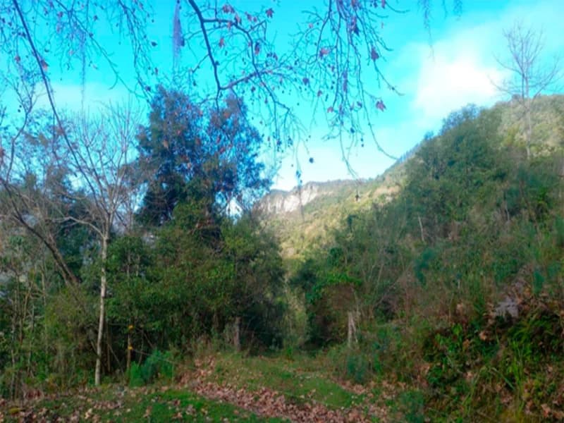 Foto 2 de 12: Terreno em leilão em Caxias Do Sul - RS, bairro Vila Oliva — Terreno - Caxias do Sul - RS