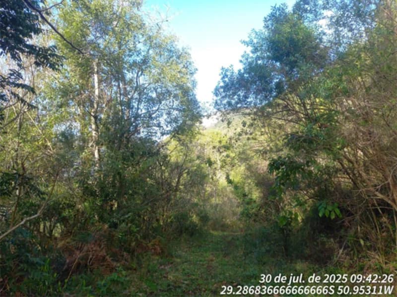 Foto 7 de 12: Terreno em leilão em Caxias Do Sul - RS, bairro Vila Oliva — Terreno - Caxias do Sul - RS