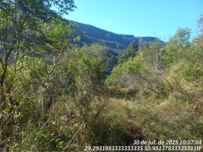 Foto 9 de 12: Terreno em leilão em Caxias Do Sul - RS, bairro Vila Oliva — Terreno - Caxias do Sul - RS