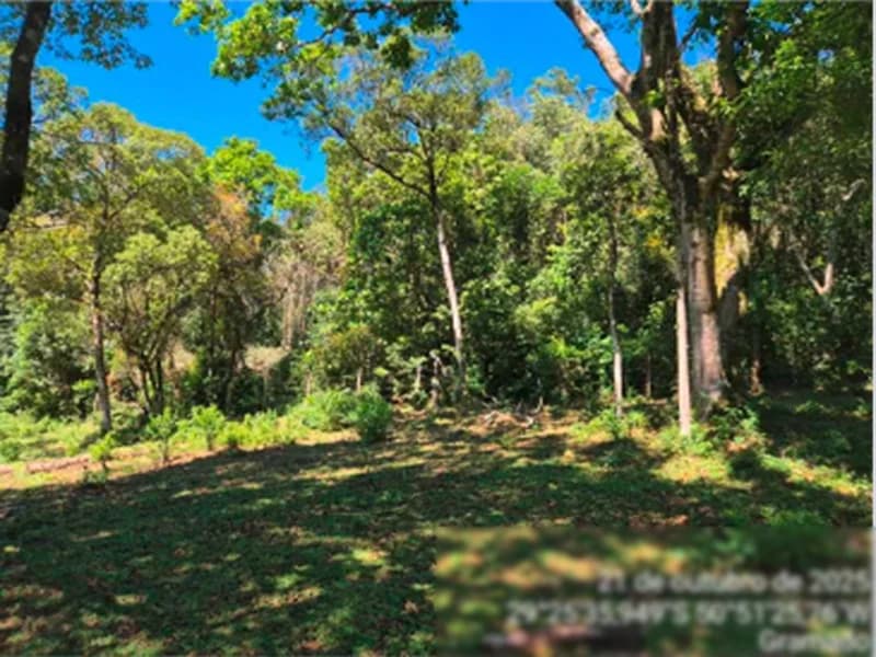 Foto 1 de 11: Terreno em leilão em Gramado - RS, bairro Várzea A Grande — Fração de terra - Gramado - RS