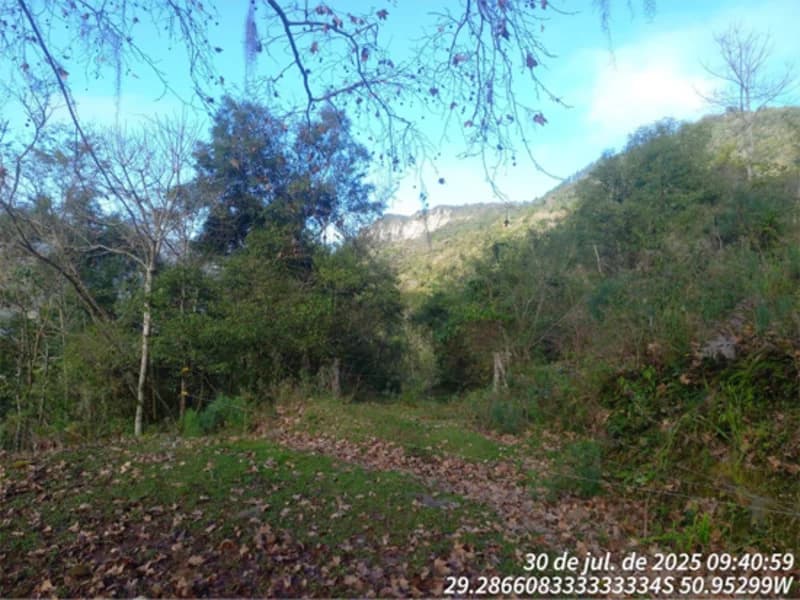 Foto 12 de 12: Terreno em leilão em Caxias Do Sul - RS, bairro Vila Oliva — Terreno - Caxias do Sul - RS