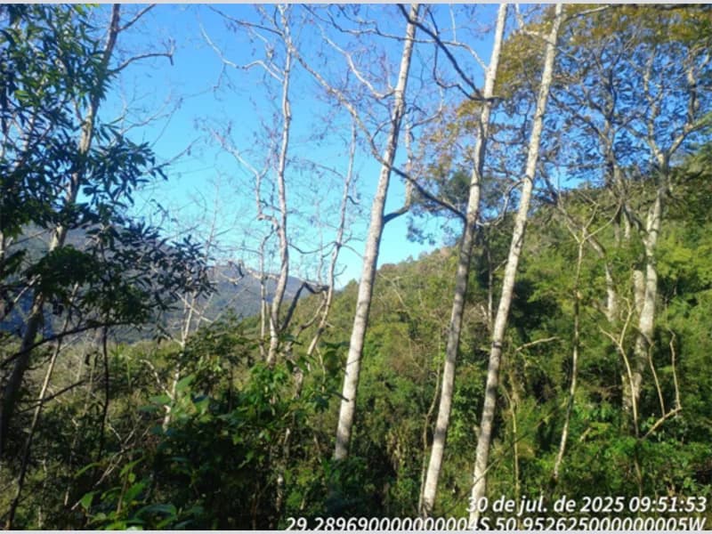 Foto 11 de 12: Terreno em leilão em Caxias Do Sul - RS, bairro Vila Oliva — Terreno - Caxias do Sul - RS