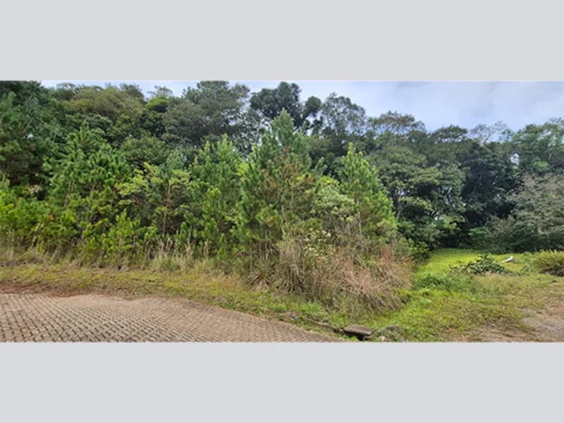 Foto 4 de 15: Terreno em leilão em Nova Petrópolis - RS, bairro Centro — Terreno - Nova Petrópolis - RS