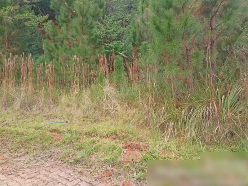 Foto 5 de 15: Terreno em leilão em Nova Petrópolis - RS, bairro Centro — Terreno - Nova Petrópolis - RS