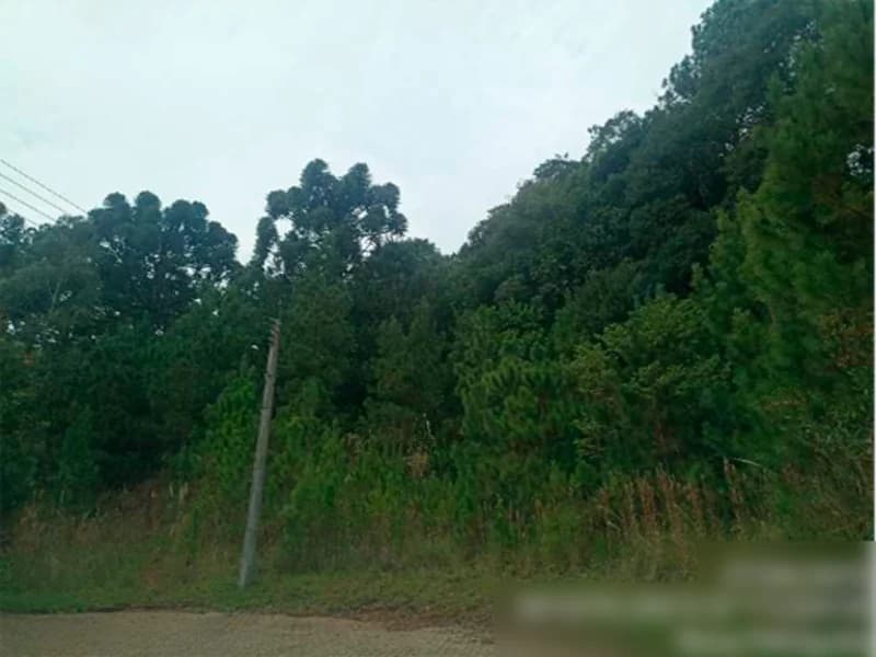 Foto 9 de 15: Terreno em leilão em Nova Petrópolis - RS, bairro Centro — Terreno - Nova Petrópolis - RS