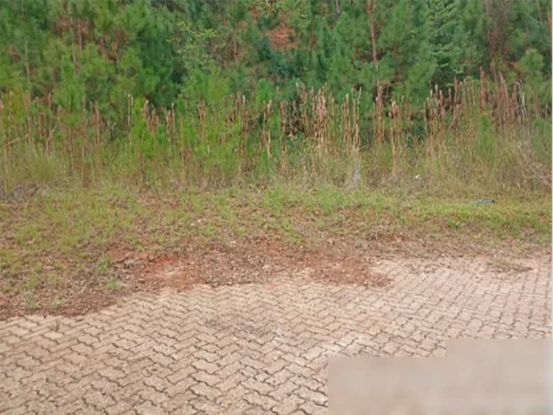 Foto 15 de 15: Terreno em leilão em Nova Petrópolis - RS, bairro Centro — Terreno - Nova Petrópolis - RS