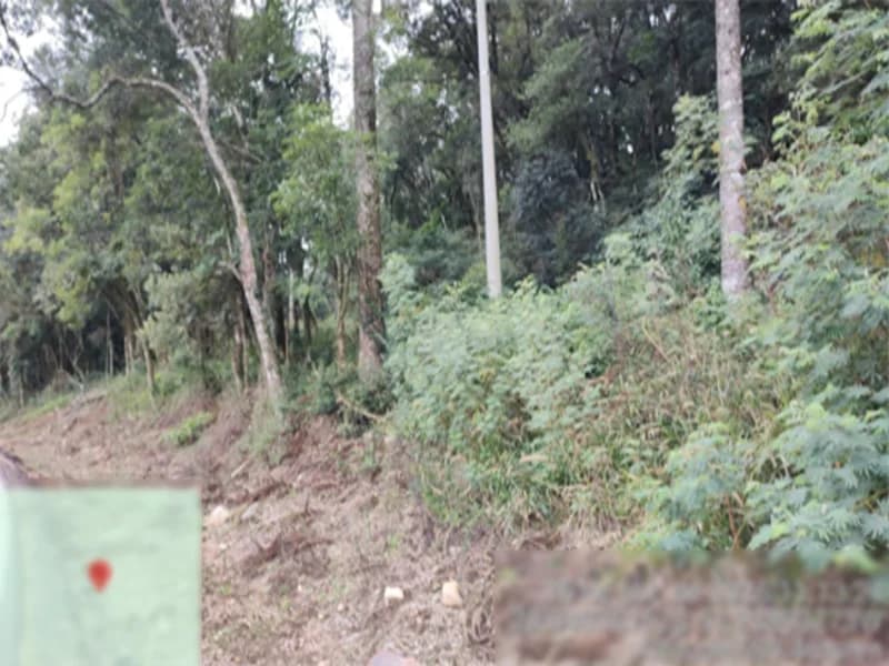 Foto 1 de 8: Terreno em leilão em Flores Da Cunha - RS — Terreno - Flores da Cunha - RS