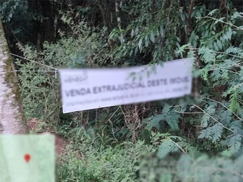 Foto 7 de 8: Terreno em leilão em Flores Da Cunha - RS — Terreno - Flores da Cunha - RS