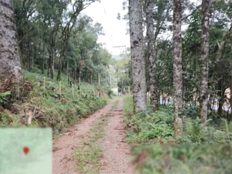 Foto 8 de 8: Terreno em leilão em Flores Da Cunha - RS — Terreno - Flores da Cunha - RS