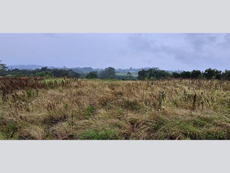 Foto 10 de 15: Terreno em leilão em São Sebastião Do Caí - RS — Terreno - Harmonia - RS