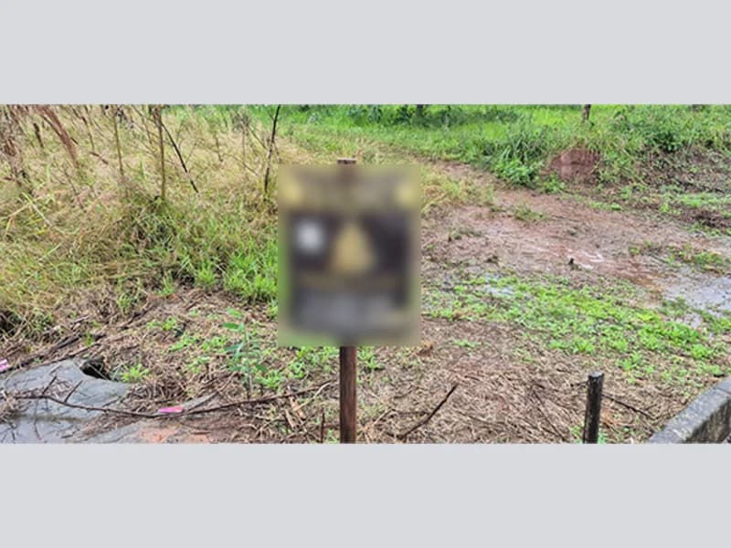 Foto 7 de 15: Terreno em leilão em São Sebastião Do Caí - RS — Terreno - Harmonia - RS