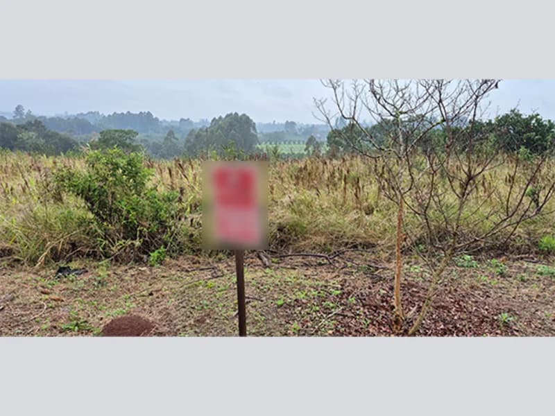 Foto 14 de 15: Terreno em leilão em São Sebastião Do Caí - RS — Terreno - Harmonia - RS
