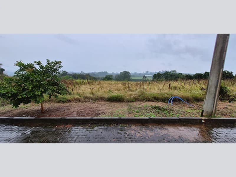Foto 12 de 15: Terreno em leilão em São Sebastião Do Caí - RS — Terreno - Harmonia - RS
