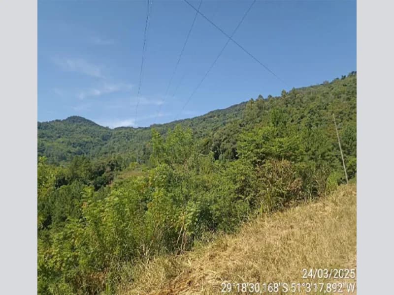Foto 5 de 7: Terreno em leilão em Nova Petrópolis - RS — Terreno - Nova Petrópolis - RS