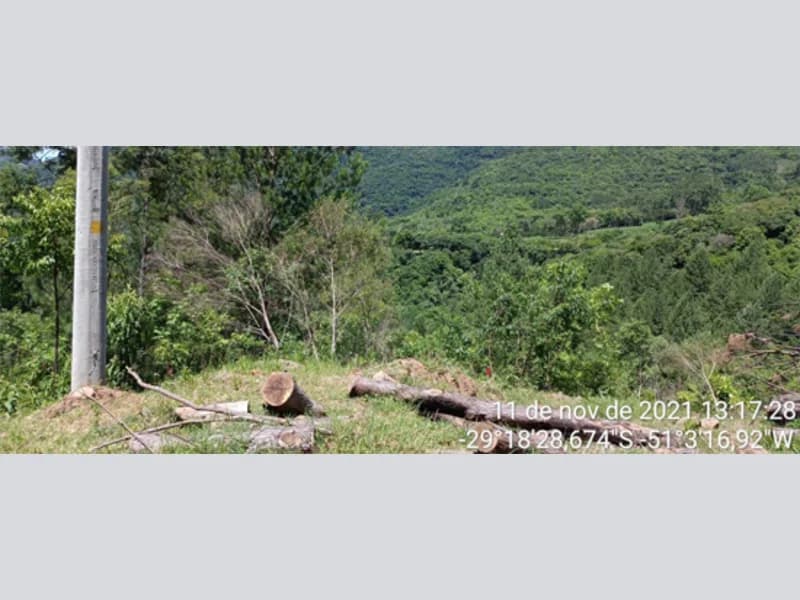 Foto 7 de 7: Terreno em leilão em Nova Petrópolis - RS — Terreno - Nova Petrópolis - RS