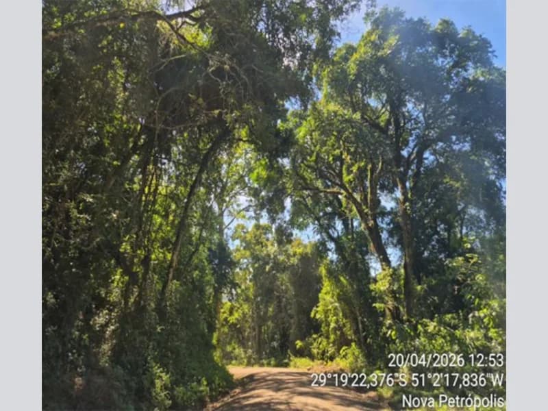 Foto 2 de 7: Terreno em leilão em Nova Petrópolis - RS — Terreno - Nova Petrópolis - RS