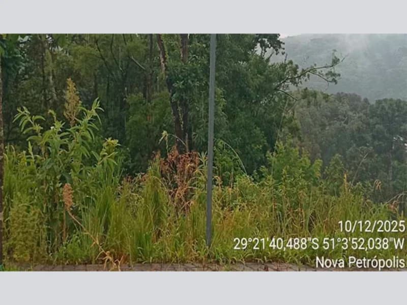 Foto 4 de 12: Terreno em leilão em Nova Petrópolis - RS — Terreno - Nova Petrópolis - RS