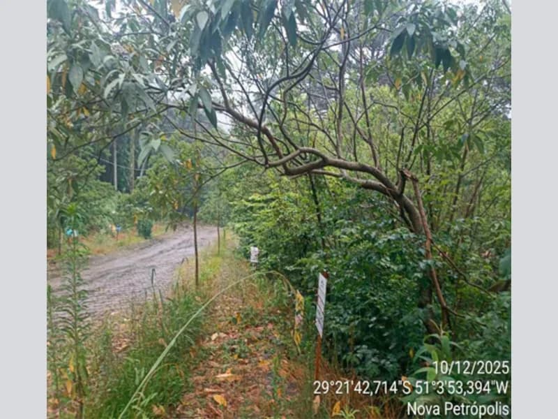 Foto 9 de 12: Terreno em leilão em Nova Petrópolis - RS — Terreno - Nova Petrópolis - RS