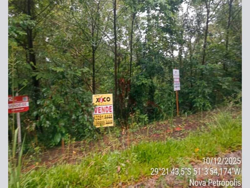 Foto 8 de 12: Terreno em leilão em Nova Petrópolis - RS — Terreno - Nova Petrópolis - RS