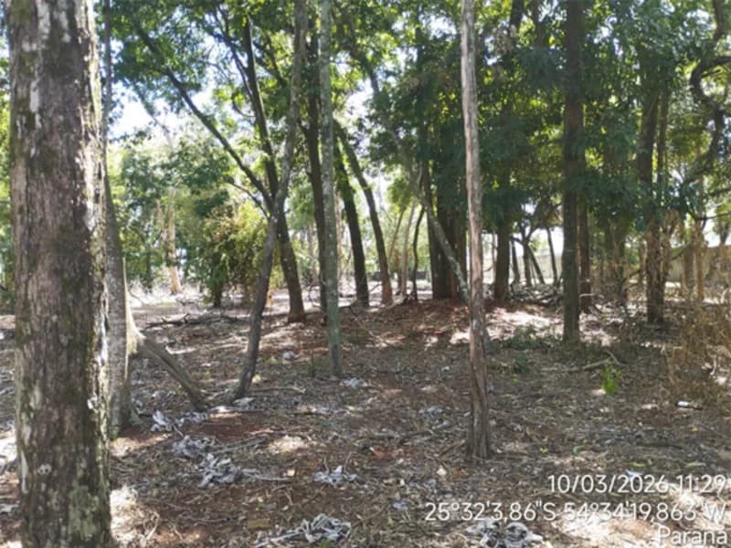 Foto 5 de 10: Terreno em leilão em Foz Do Iguaçu - PR, bairro Maracanã — Terreno - Foz do Iguaçu - PR