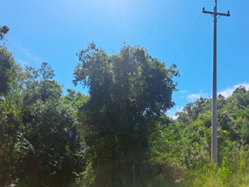 Foto 3 de 8: Terreno em leilão em Bento Gonçalves - RS — Terreno - Bento Gonçalves - RS