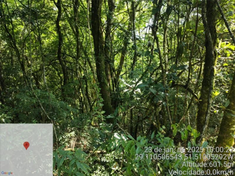 Foto 6 de 8: Terreno em leilão em Bento Gonçalves - RS — Terreno - Bento Gonçalves - RS