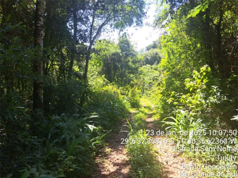 Foto 7 de 8: Terreno em leilão em Bento Gonçalves - RS — Terreno - Bento Gonçalves - RS
