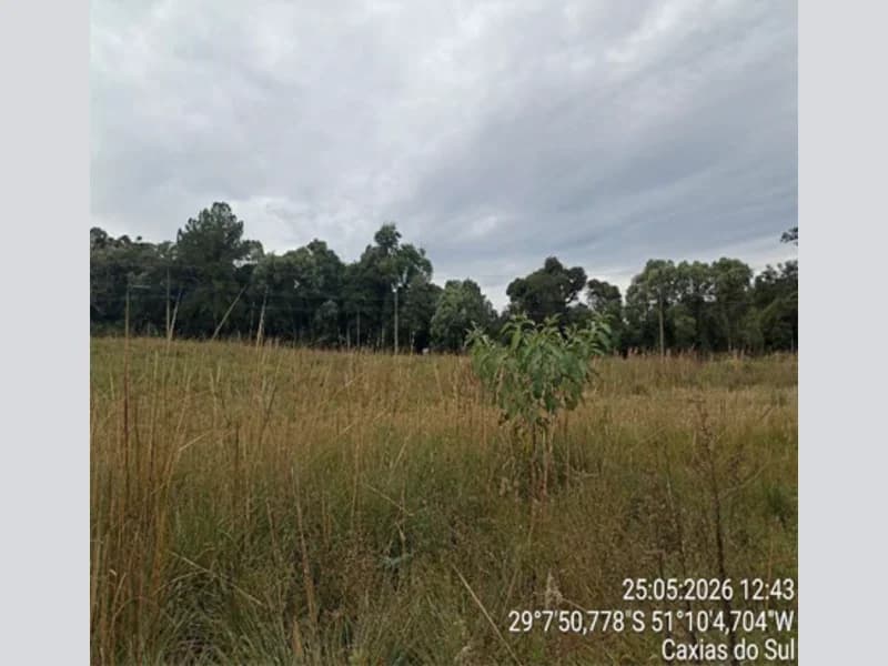 Foto 2 de 10: Terreno em leilão em Caxias Do Sul - RS — Terreno - Caxias do Sul - RS