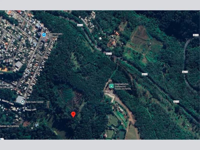 Foto 1 de 12: Area Rural em leilão em Gramado - RS — Gleba - Gramado - RS