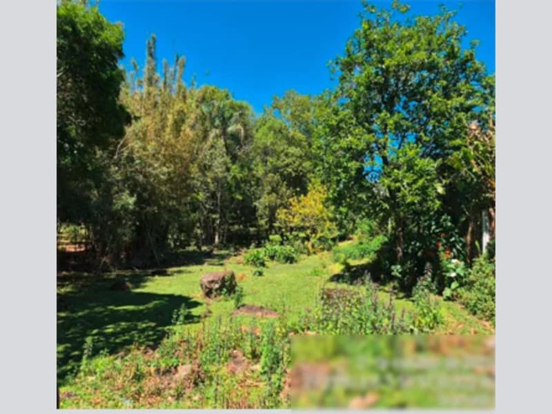 Foto 10 de 12: Area Rural em leilão em Gramado - RS — Gleba - Gramado - RS