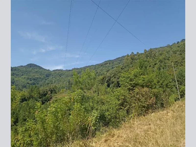 Foto 1 de 7: Terreno em leilão em Nova Petrópolis - RS — Terreno - Nova Petrópolis - RS