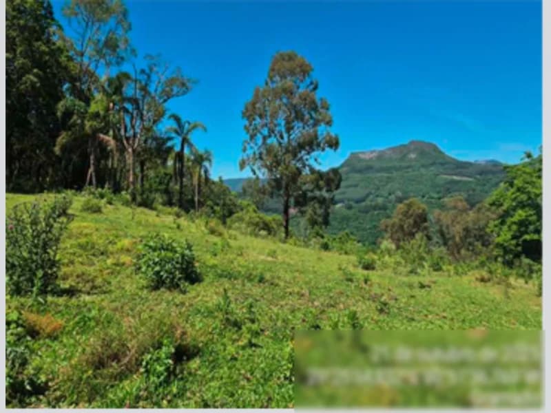 Foto 1 de 12: Terreno em leilão em Gramado - RS, bairro Várzea A Grande — Fração de terra - Gramado - RS
