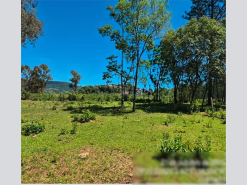Foto 7 de 12: Terreno em leilão em Gramado - RS, bairro Várzea A Grande — Fração de terra - Gramado - RS