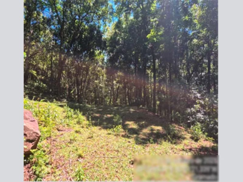 Foto 11 de 12: Terreno em leilão em Gramado - RS, bairro Várzea A Grande — Fração de terra - Gramado - RS