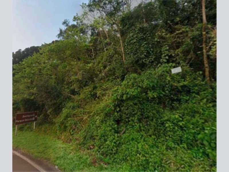 Foto 12 de 12: Terreno em leilão em Gramado - RS, bairro Várzea A Grande — Fração de terra - Gramado - RS