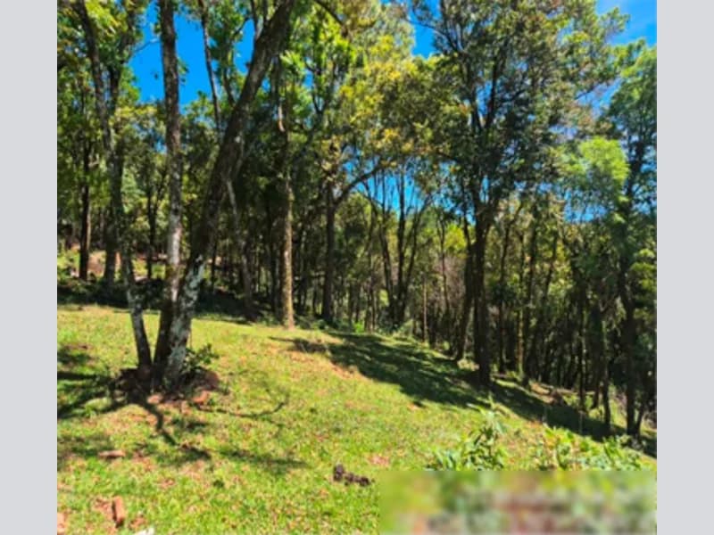 Foto 10 de 12: Terreno em leilão em Gramado - RS, bairro Várzea A Grande — Fração de terra - Gramado - RS