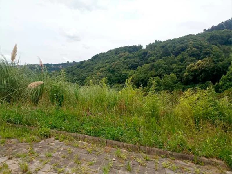 Foto 2 de 20: Terreno em leilão em Caxias Do Sul - RS — Terreno - Caxias do Sul - RS