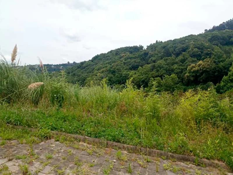 Foto 4 de 20: Terreno em leilão em Caxias Do Sul - RS — Terreno - Caxias do Sul - RS