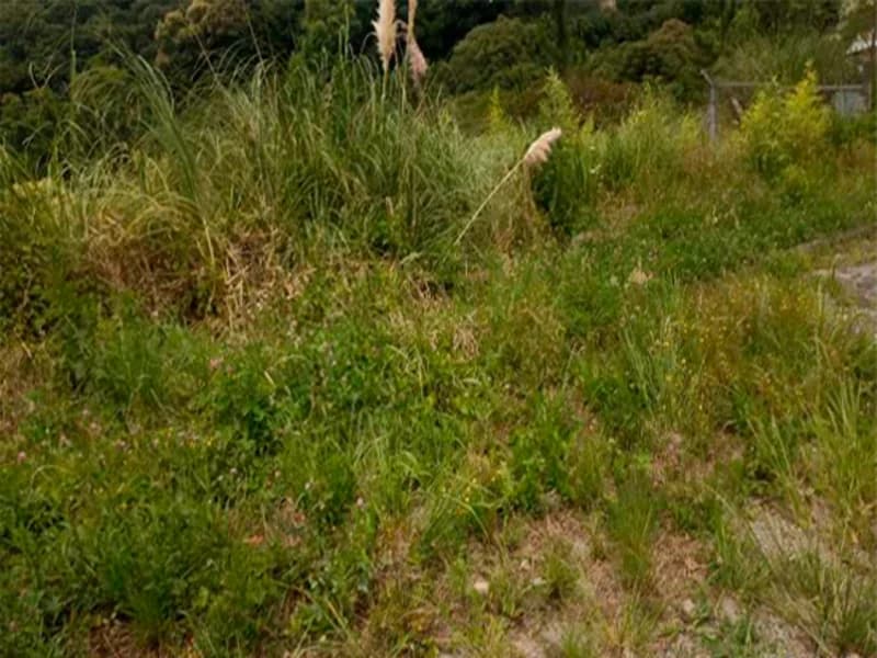 Foto 9 de 20: Terreno em leilão em Caxias Do Sul - RS — Terreno - Caxias do Sul - RS