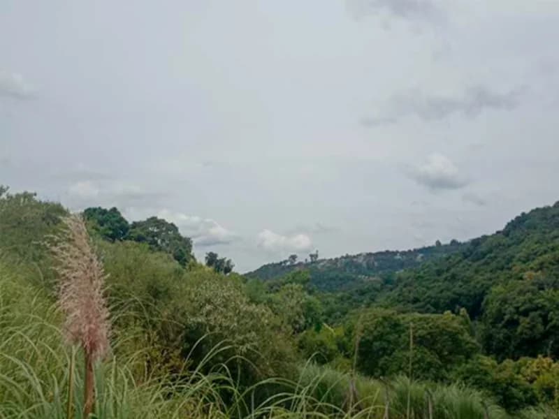 Foto 10 de 20: Terreno em leilão em Caxias Do Sul - RS — Terreno - Caxias do Sul - RS