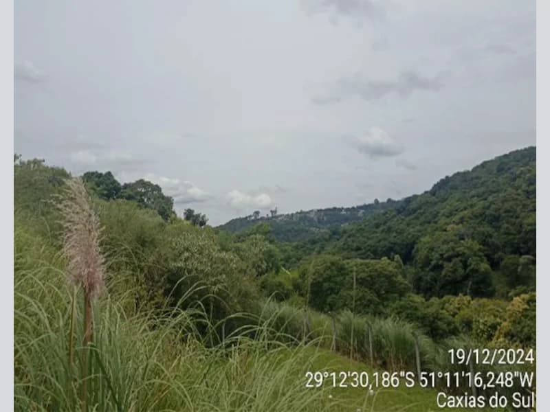 Foto 14 de 20: Terreno em leilão em Caxias Do Sul - RS — Terreno - Caxias do Sul - RS